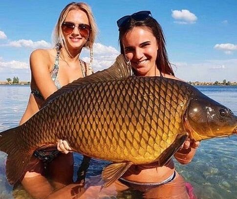 Fish Hunters