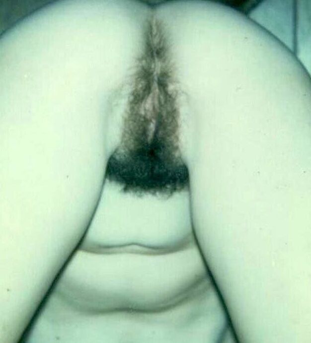 hairy asses culi pelosi