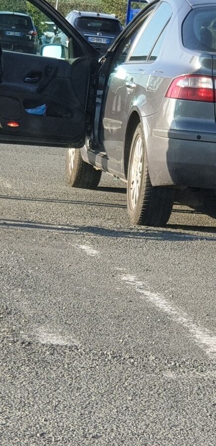 LOT OF ASS