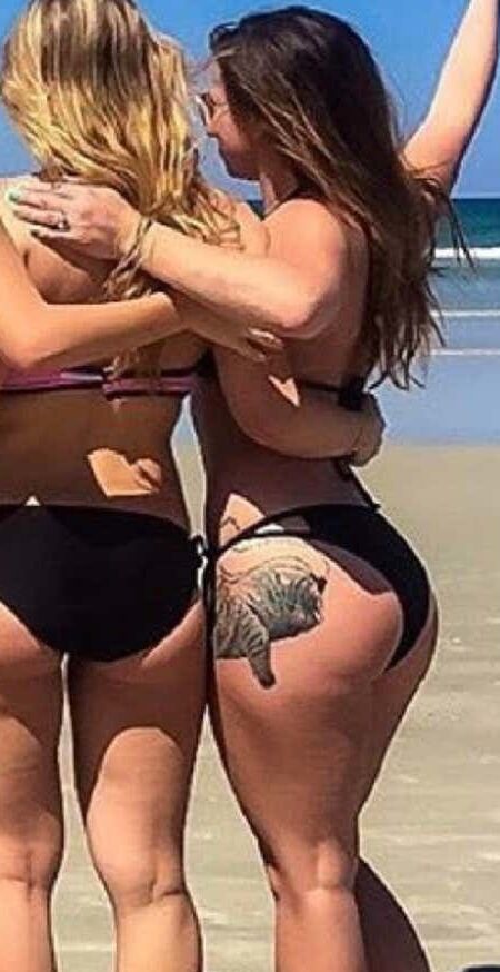 Bad Teachers