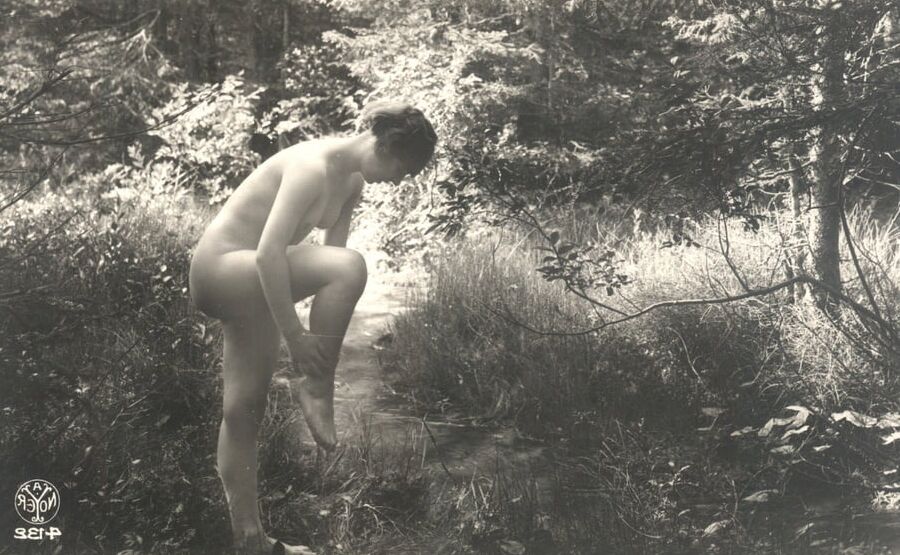 Vintage naturalists