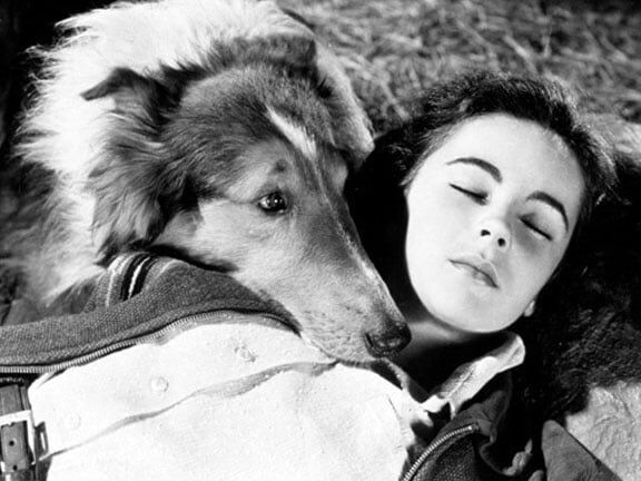 Elizabeth Taylor