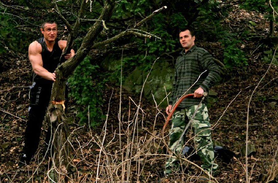 BI-Tree choppers