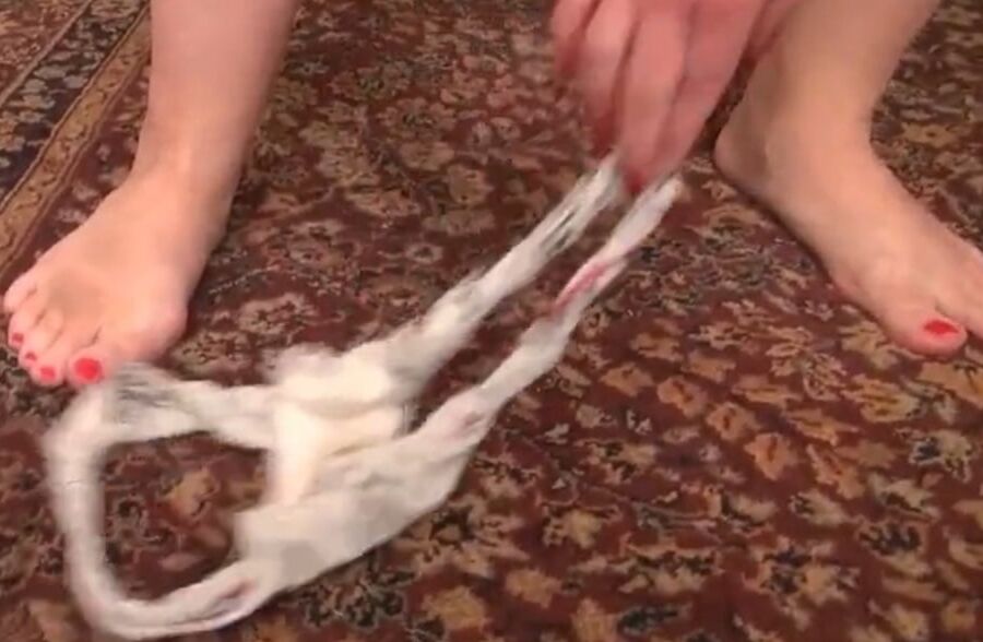 Lick &;em or Dick &;em III