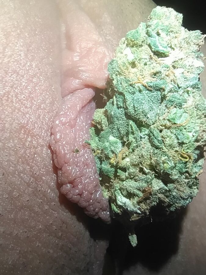Pussy Ganja Weed