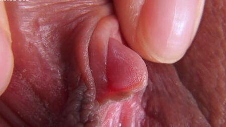 Pussy Lips