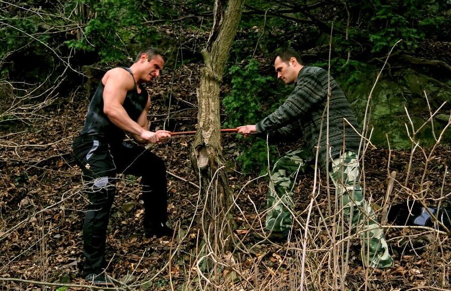 BI-Tree choppers