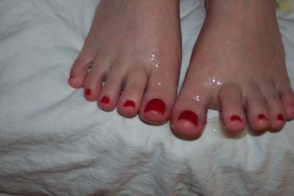 Hollytoes