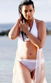 Sexy hot bitche in bikini