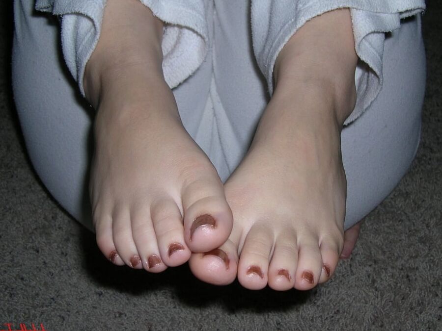 Hollytoes