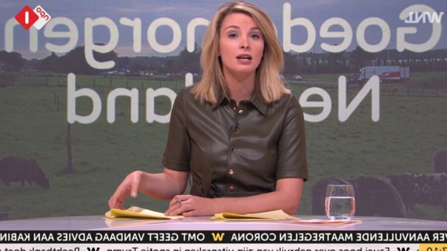 welmoed sijtsma dutch tv babe