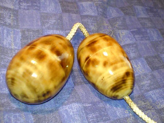 Démonstration de Sex-Toys. 