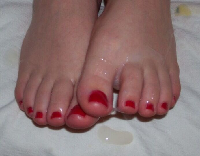 Hollytoes