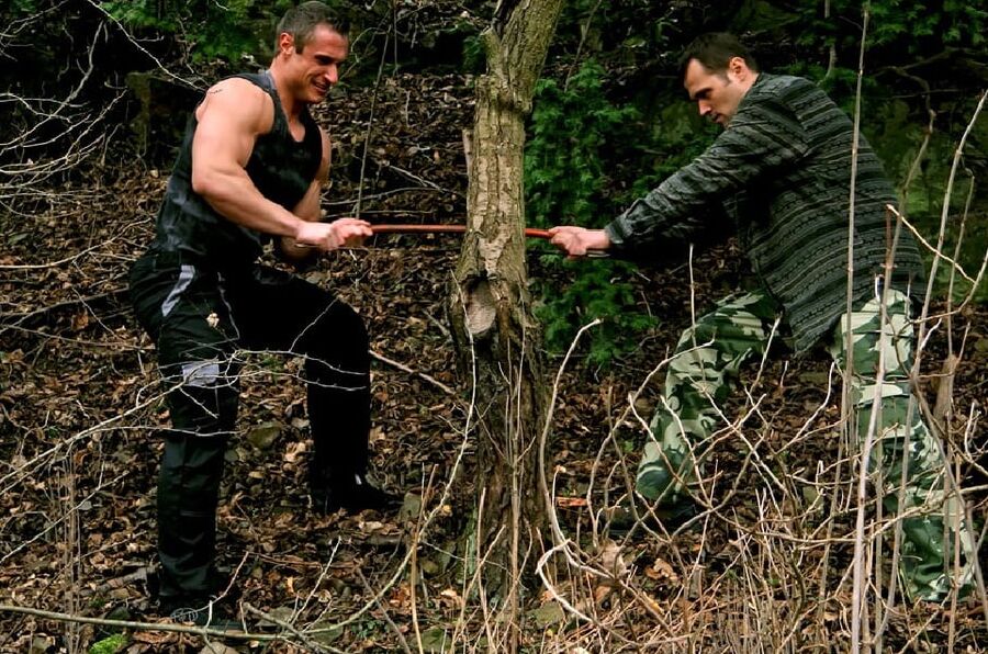 BI-Tree choppers