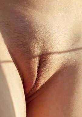 sexy sexy