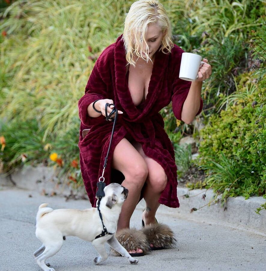 I Wanna Be Your Dog