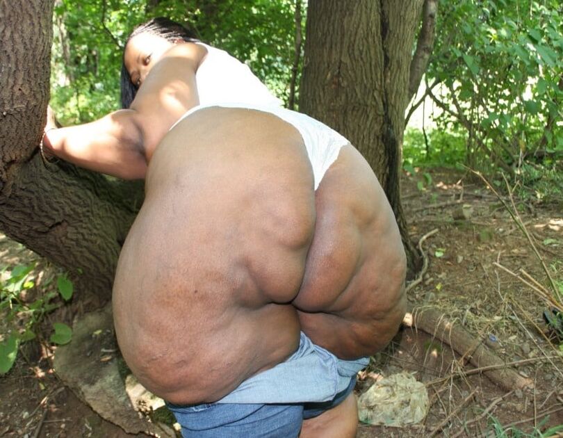 Thunda in da woods