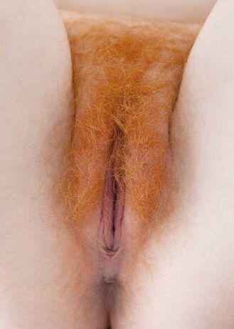 Hairy beavers make the most beautiful forests