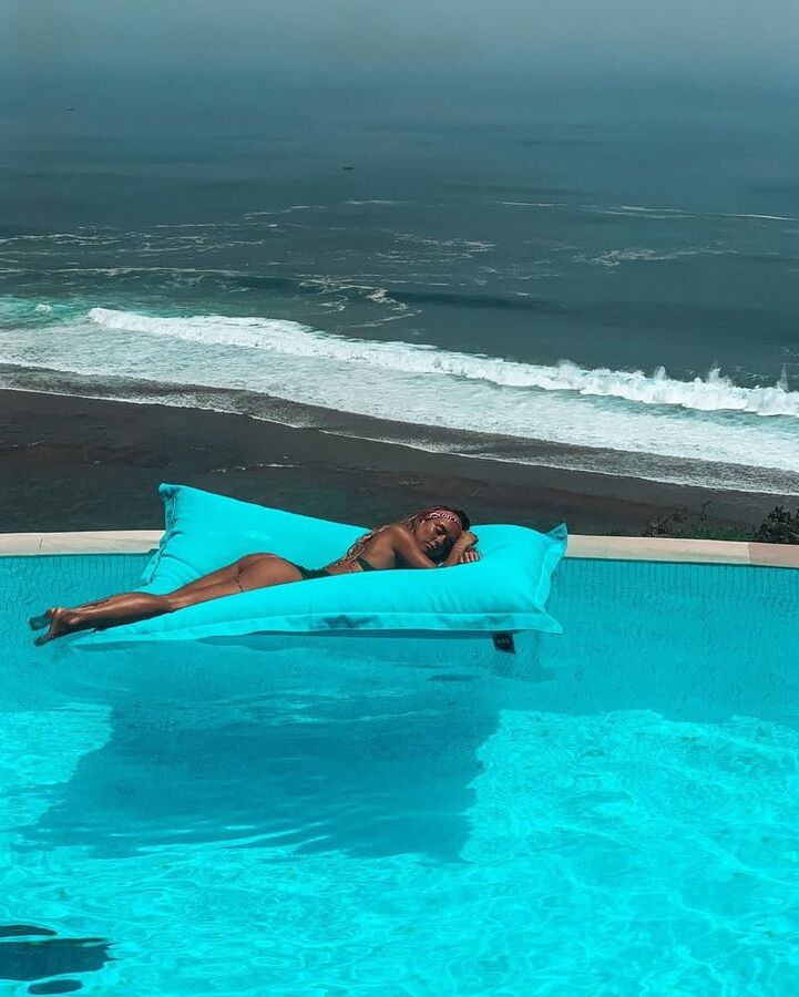 Hilona gos