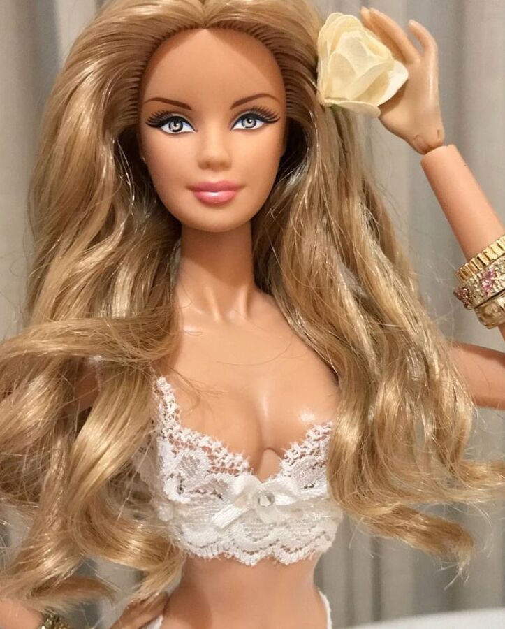My Barbie Dreams from the Web