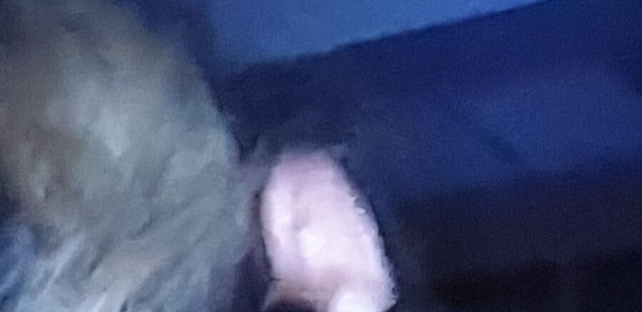 some