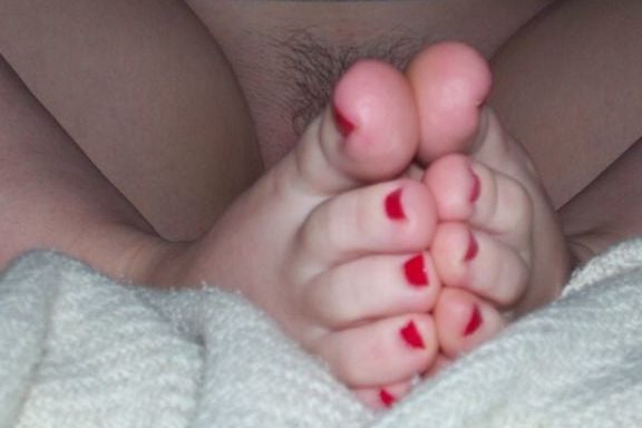 Hollytoes
