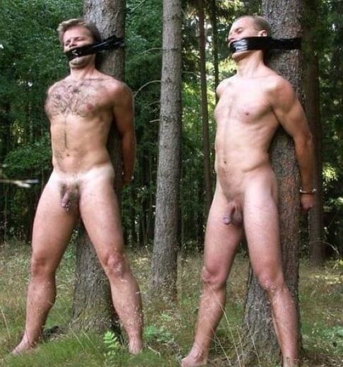 Amazon Warriors