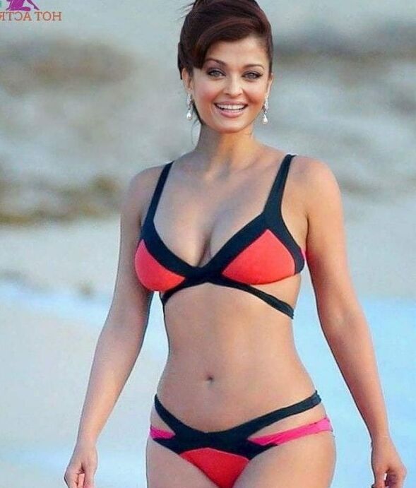 Sexy hot bitche in bikini