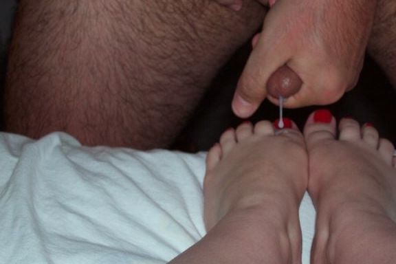 Hollytoes