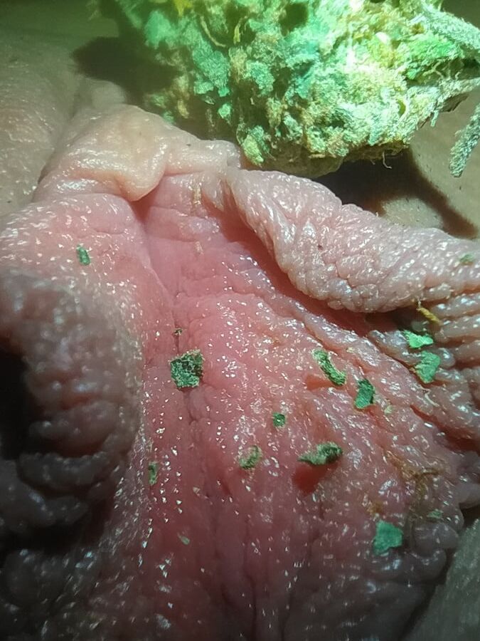 Pussy Ganja Weed