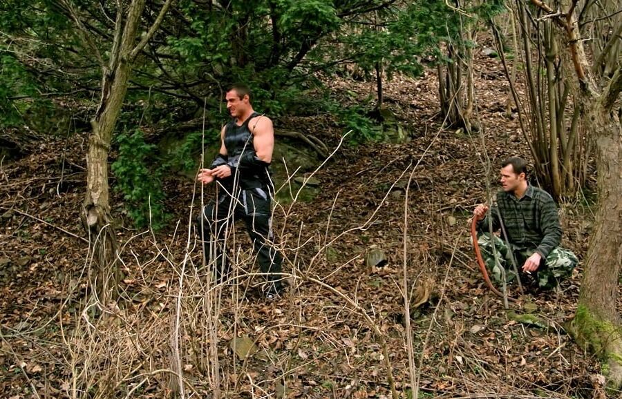 BI-Tree choppers