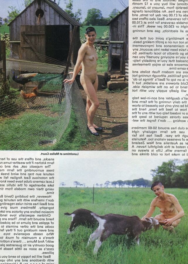 Vintage H&amp;E Quarterly