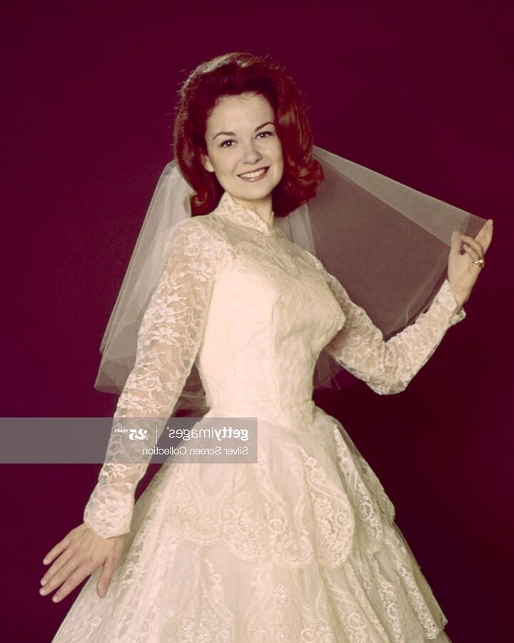 Celebrity Boobs - Shelley Fabares