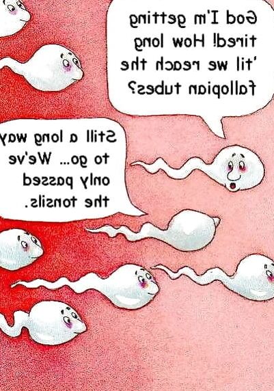 Need A Laugh?