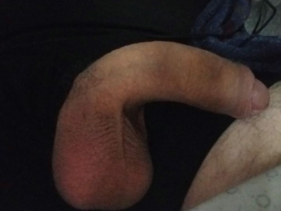 Beautiful Cock (Pre Cum)