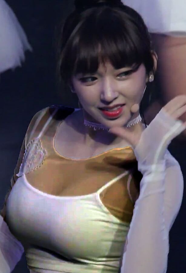 Cheng Xiao Fap Folder