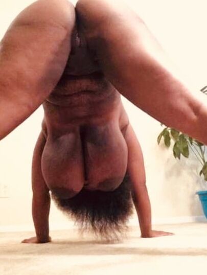 Pussies