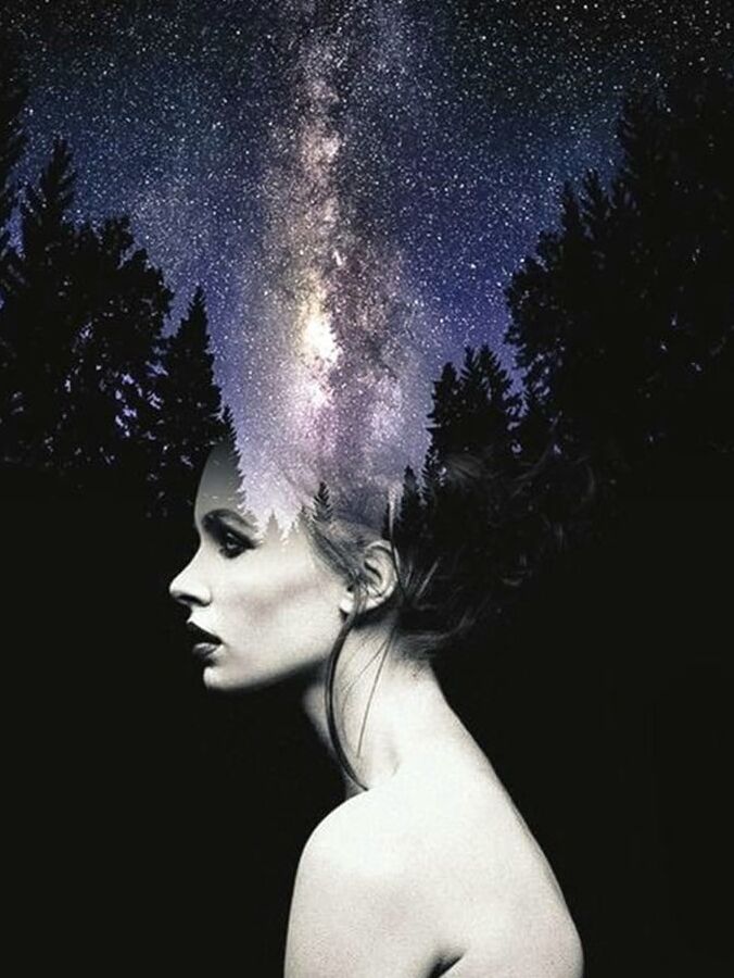 Interstellar Bodies