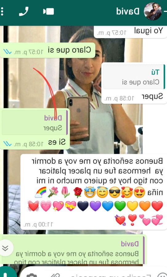 Casal