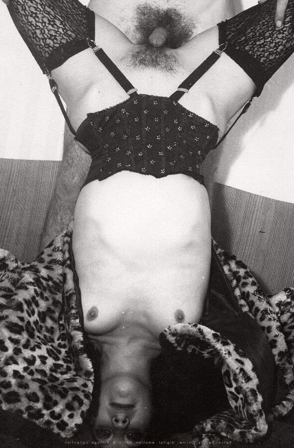 XX Century Fuck collection