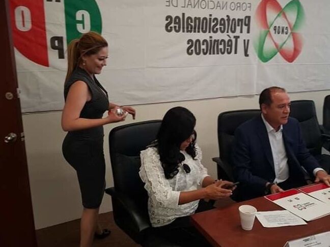 Laura diputada