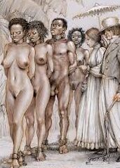 bdsm cartoon c