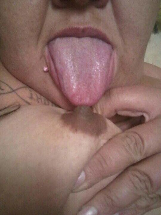 Carmona pucca