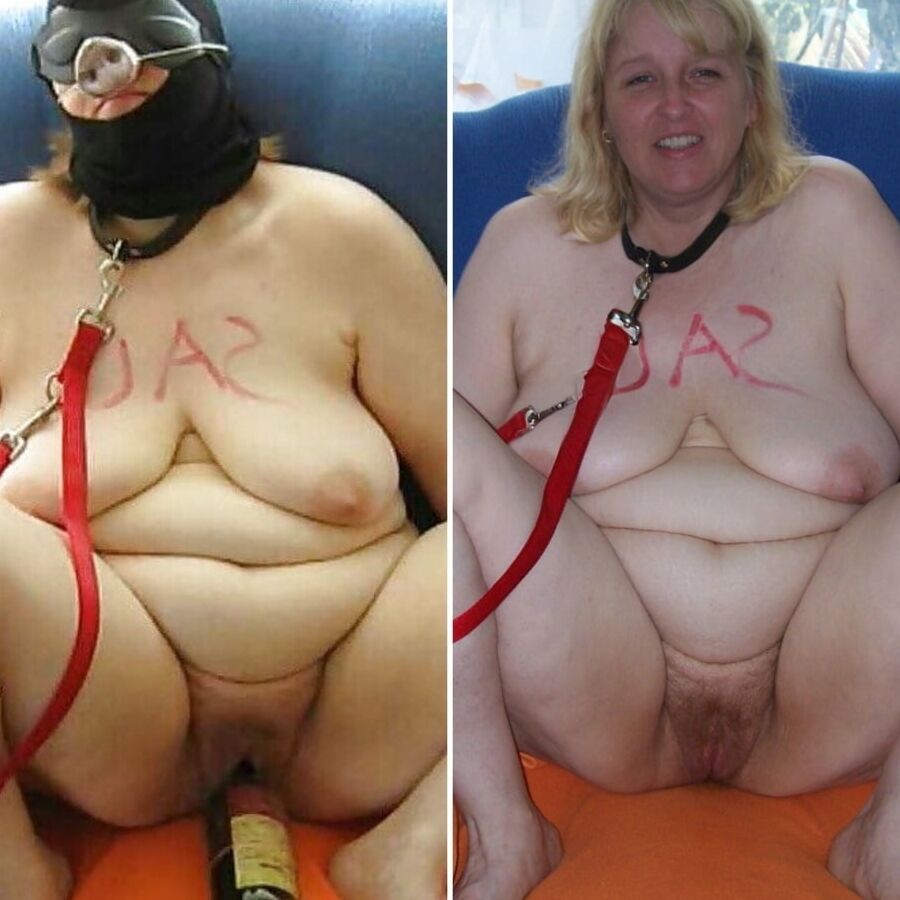 More Pigs