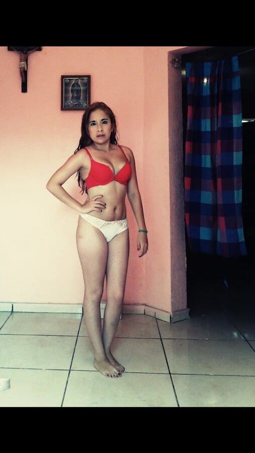 Dumb Latina Mom Expose Webslut Mass Favs Bitches Slags Pigs