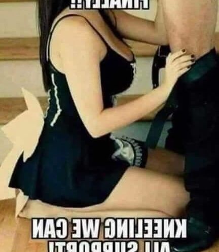 保存したミーム