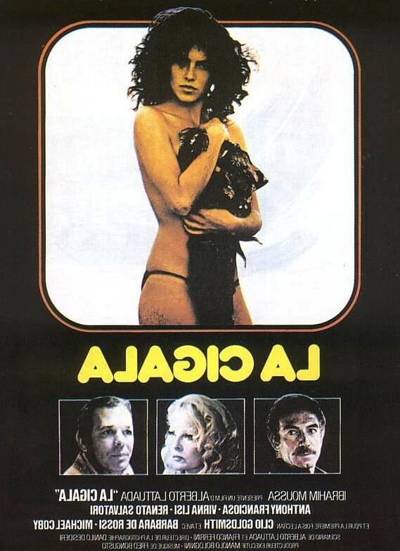 Affiches