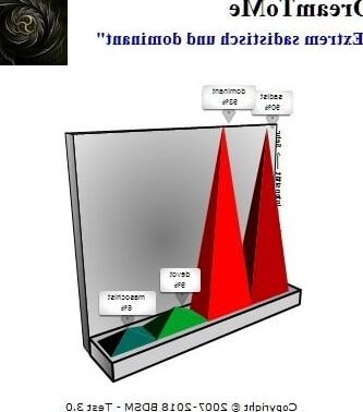 BDSM-Test