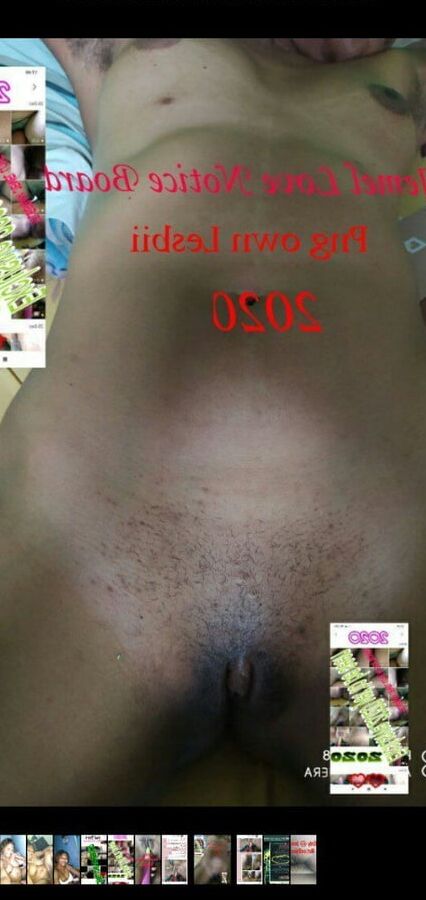 PNG tasol