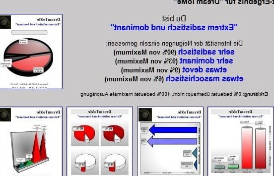BDSM-Test